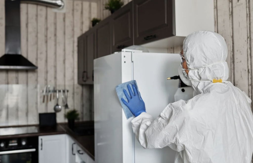 Professional cleaner in full gear