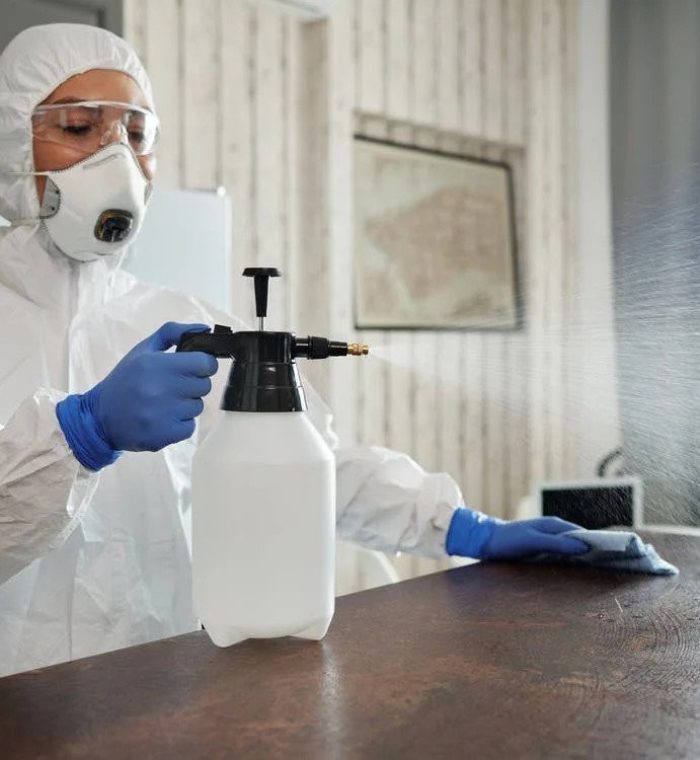 Cleaner-Spraying-Disinfectant